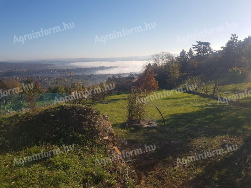 Havihegy 1650 m² großes Baugrundstück auf der Mecsek-Seite