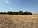 Arable land farmhouse for sale in one piece