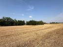 Arable land farmhouse for sale in one piece