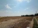 Arable land farmhouse for sale in one piece