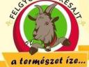 Well-established goat farm for sale in Felgyő (Csongrád-Csanád county) For sale in Csongrád-Csanád county