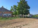 Well-established goat farm for sale in Felgyő (Csongrád-Csanád county) For sale in Csongrád-Csanád county