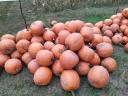 Halloween pumpkins, decorations