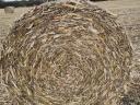 Corn stalk bale for sale