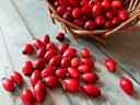 Rose hips for sale