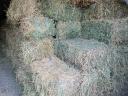 Small bale of alfalfa