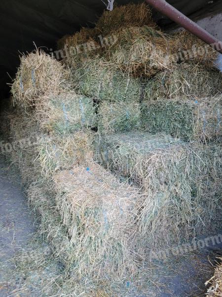 Small bale of alfalfa