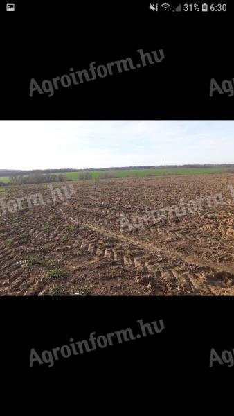 ARABLE LAND FOR SALE