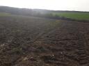 ARABLE LAND FOR SALE