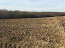 ARABLE LAND FOR SALE