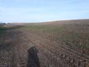 ARABLE LAND FOR SALE