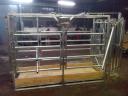 Cattle-handling cattle shed