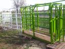 Cattle-handling cattle shed