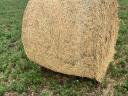 Hay and lucerne bales for sale