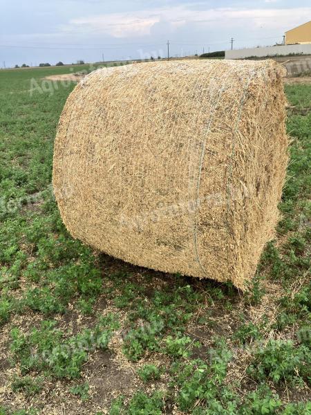 Hay and lucerne bales for sale