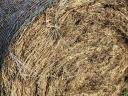 Hay and lucerne bales for sale