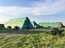 Hay and lucerne bales for sale