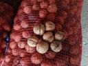 MILOTA M10 THIN SHELL PLANTATION WALNUTS FOR SALE