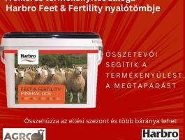 Nyalótömb juh- és marha-termékenyítéshez