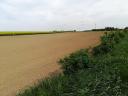 Arable land for sale in a village centre