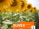 SUVEX sunflower seeds, SULFO-tolerant