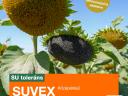 SUVEX sunflower seeds, SULFO-tolerant