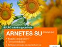 ARNETES SU Sunflower seeds, SULFOtolerant