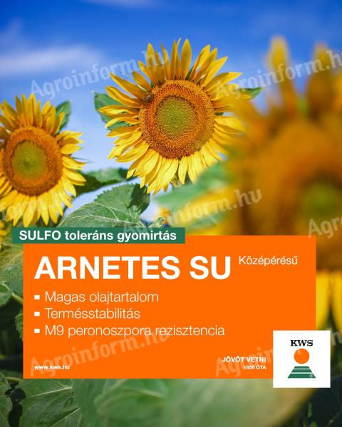 ARNETES SU Sunflower seeds, SULFOtolerant