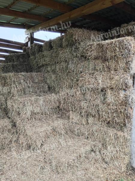 For sale last year's sown clover clods of cubed hay, also transported