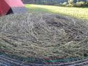 Lucerna round bales for sale