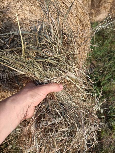 Grass hay bales for sale