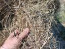 Grass hay for sale