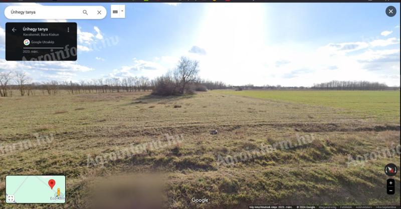 Kecskemét Úrihegyben land for sale