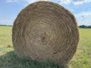 Round meadow grasses, good quality