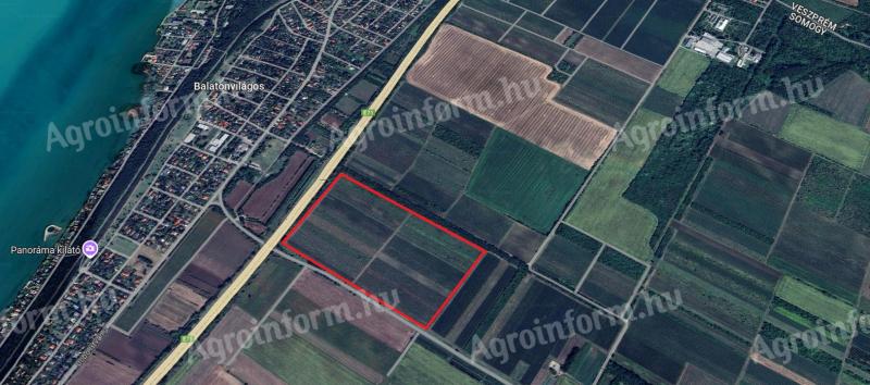 Balatonvilágos vineyard for sale