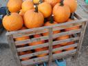 Halloween pumpkins