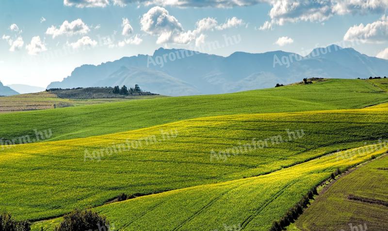 Achiziționarea de terenuri arabile