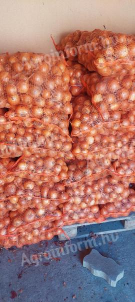 Onions for sale