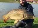 Large carp for sale