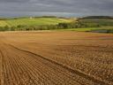 I would like to buy arable land