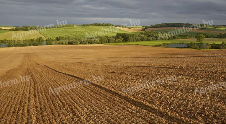 I would like to buy arable land