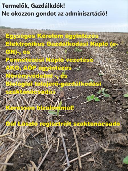 Agricultural administration, consultancy