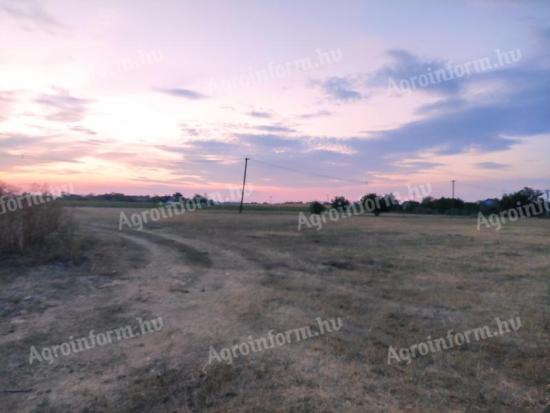 Farmhouse and land for sale