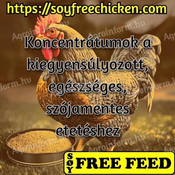 Soy-free poultry concentrate