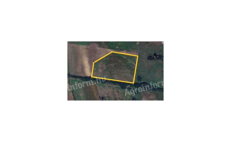 Arable land for sale Szentes