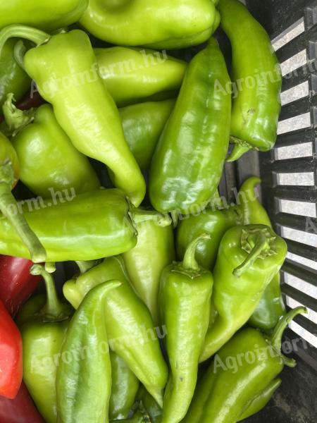 Paprika cu capere