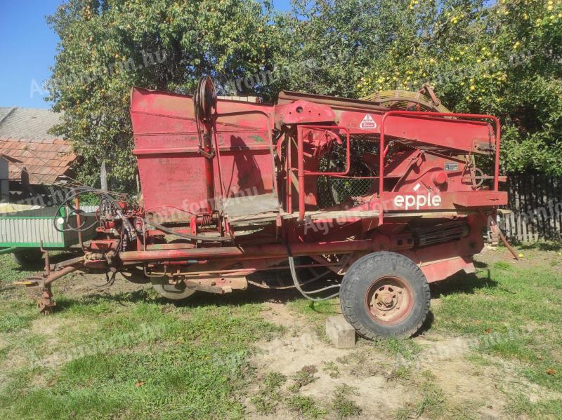 Epple single row potato harvester