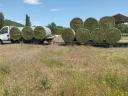 Rye hay, alfalfa indoor stored feed for sale