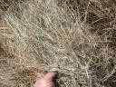 Premium quality mountain meadow hay