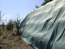 Premium quality mountain meadow hay